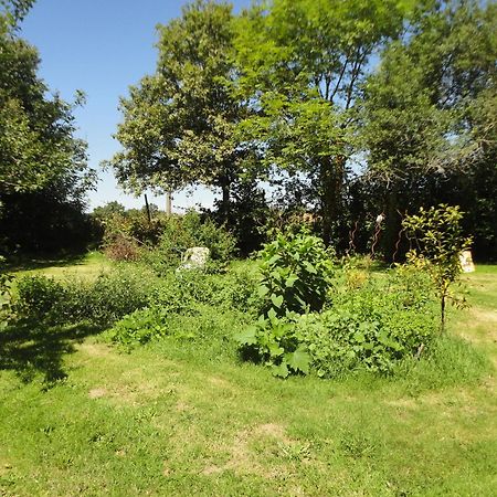Tranquille Vienne Gites A Chirac Dept Charente Eksteriør bilde