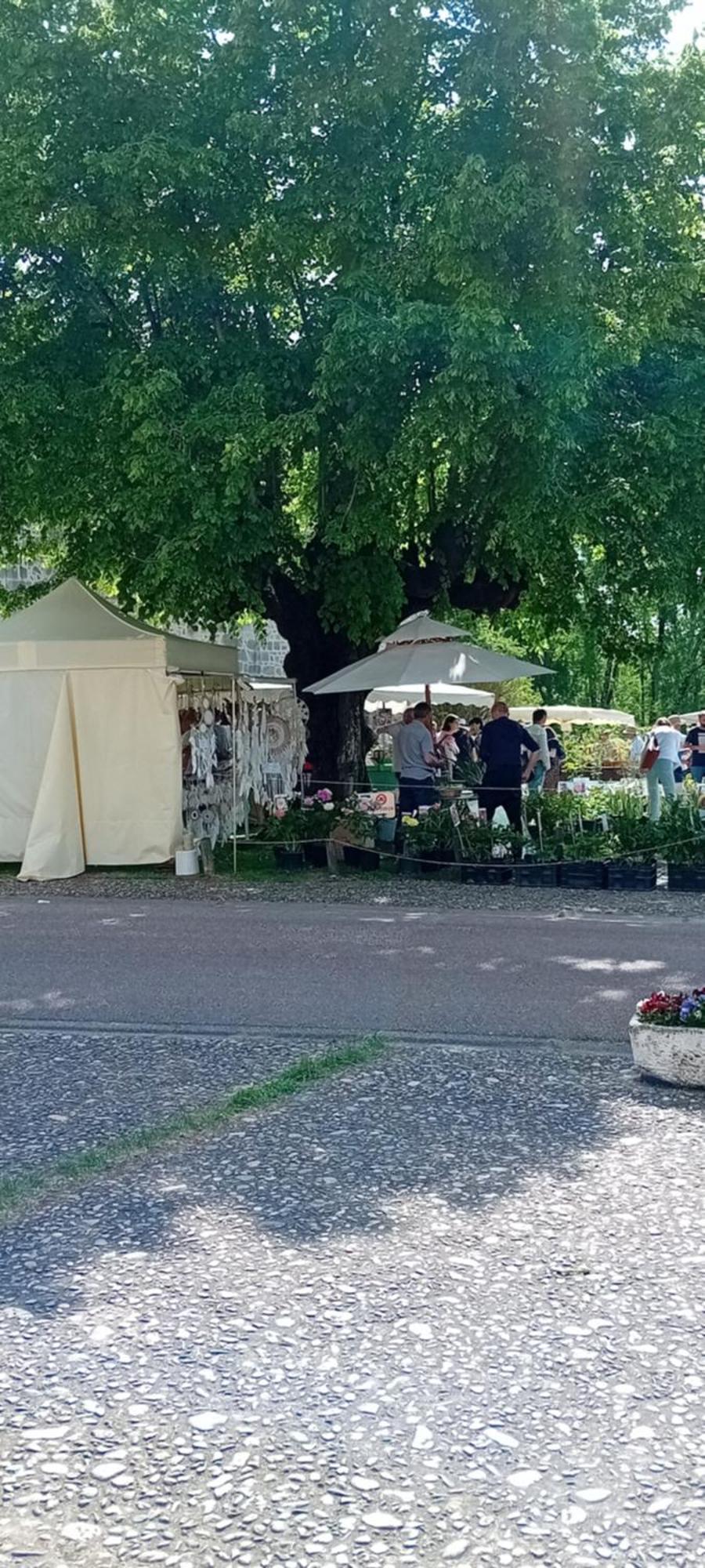 Tranquille Vienne Gites A Chirac Dept Charente Eksteriør bilde